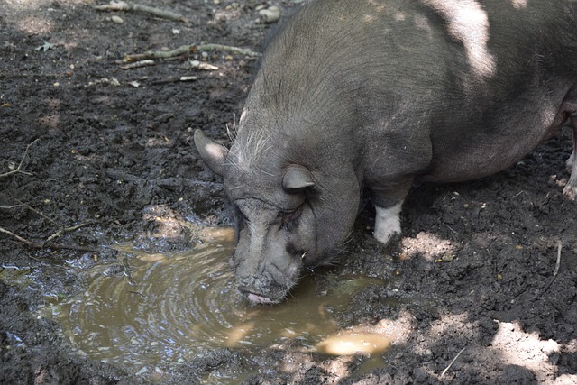 米奇·约翰逊：对马刺下半场表现失望，虽赢了但要给予对手肯定